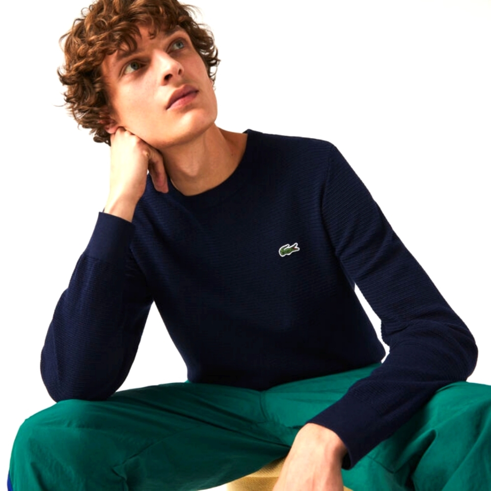Crew Neck Textured Cotton Sweater